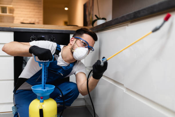 Best Ant Control Services  in Standish, MI