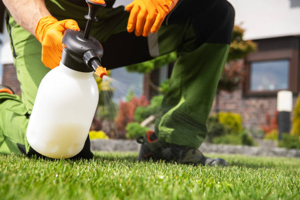 Best Wildlife Control Services  in Standish, MI