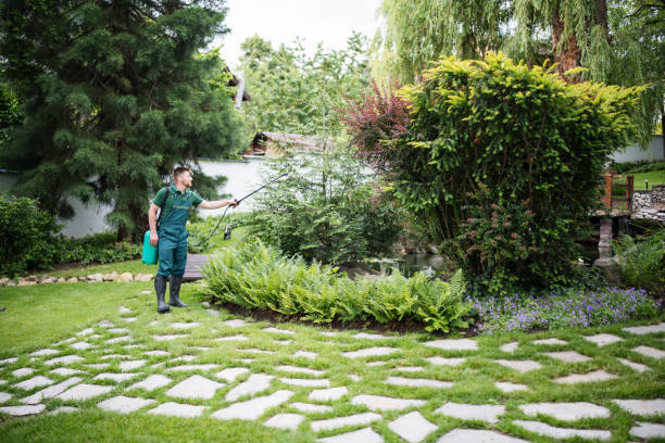 Best Pest Control for Businesses  in Standish, MI