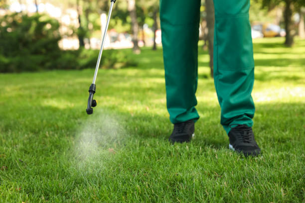 Best Flea Control Services  in Standish, MI