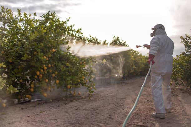 Best Affordable Pest Control Services  in Standish, MI