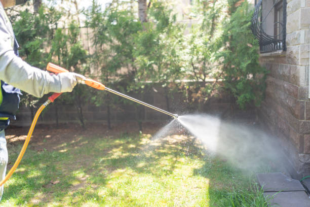 Best Wasp Removal Services  in Standish, MI