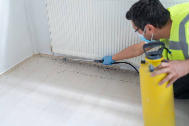 Wasp Removal Services in Standish, MI