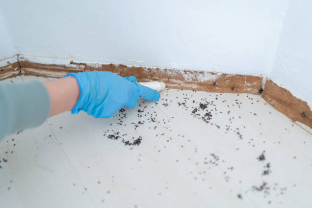 Best Best Pest Control Companies  in Standish, MI
