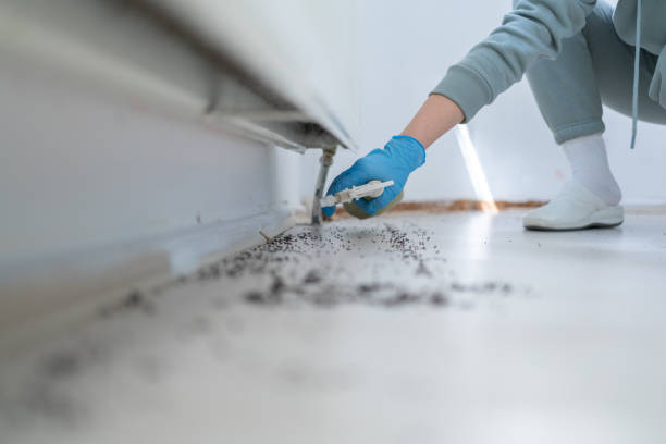 Best Wildlife Control Services  in Standish, MI