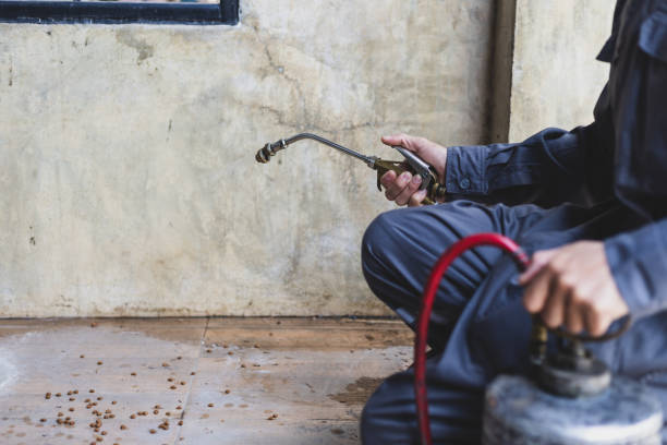 Best Pest Inspection Near Me  in Standish, MI