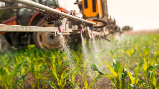 Best Pest Prevention Services  in Standish, MI